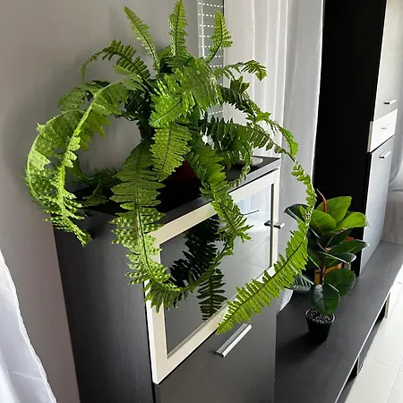 Butik Apartmanhaz Fonyód Exterior foto